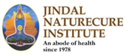 Jindal logo